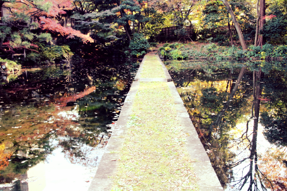 koishikawa korakuen (3)