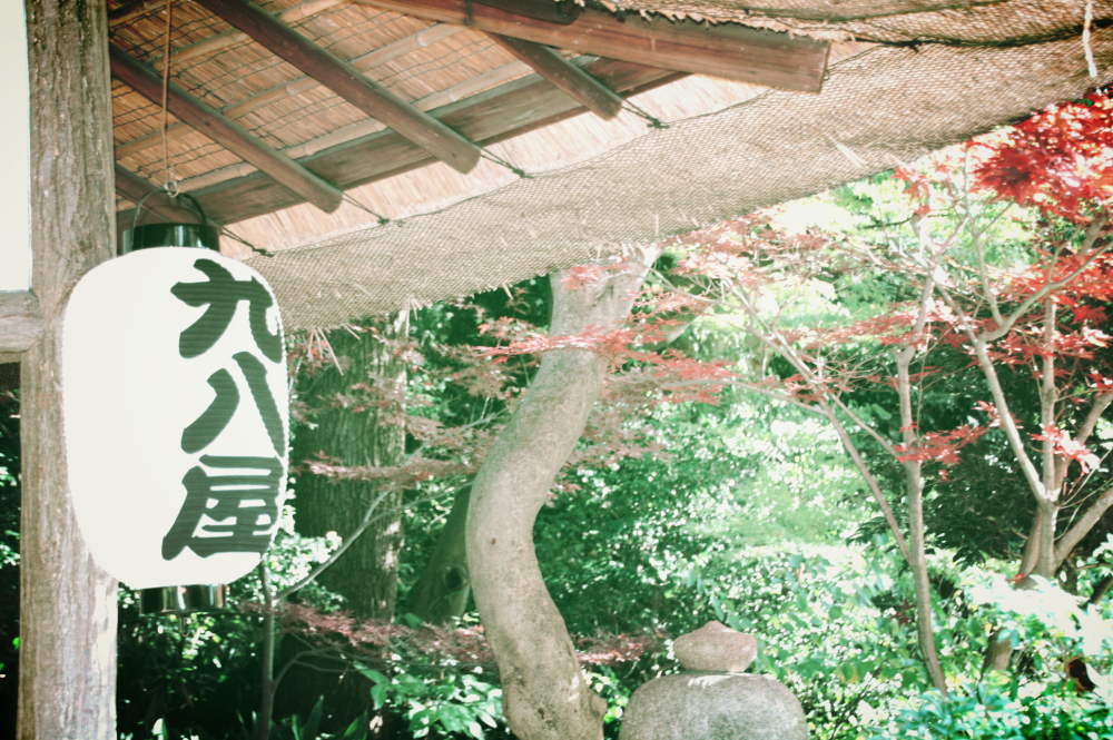 koishikawa korakuen (7)